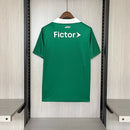 Camisa Palmeiras Listrada 25/26
